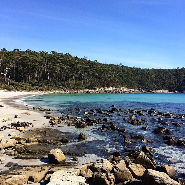 I just had to post this photo on my jewellery page too! What a jewel of a place! Tasmania is full of hidden treasures and one of my biggest inspirations is the sea, especially its colours! Was very refreshing to go camping with great company in this beautiful spot! I'm feeling very relaxed, inspired and creative and looking forward to this week in the workshop