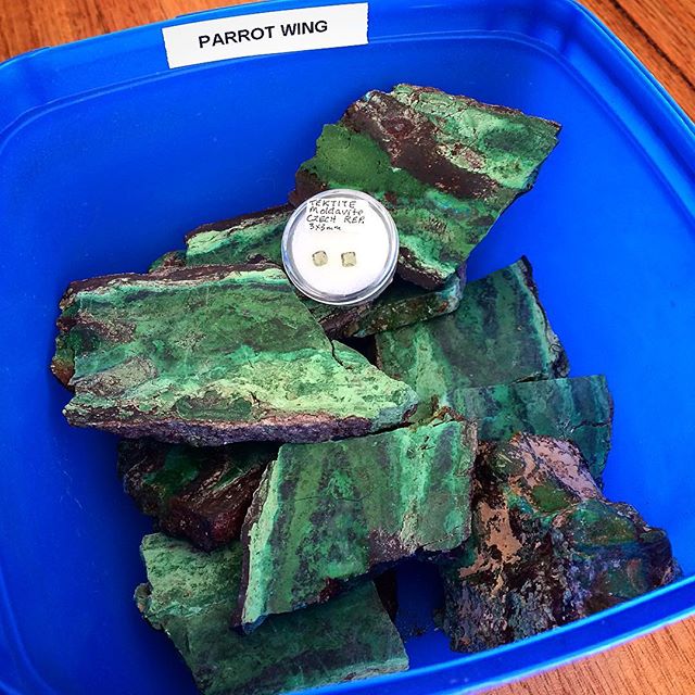 Had a great day yesterday at the Hobart Lapidary Club Annual Rock Auction!! My first win was a big bag of lemons???? I also won a stunning little pair of faceted Tektites/ Moldavite from CZECH Republic and the box says they are 14,700,000 million years old! And my most wanted win, a box of Parrot Wing Jasper/Chrysocolla/Azurite/Quartz from Mexico. It is said to be the Goddess Stone and is apparently very rare! I just got it because I liked the colour and it will be very exciting to cut.